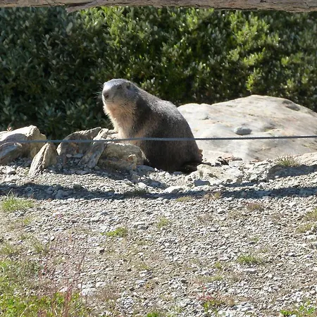 Alpentraum, Alte Gasse 20