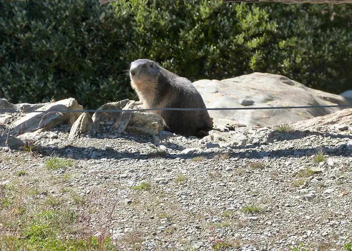 Alpentraum, Alte Gasse 20